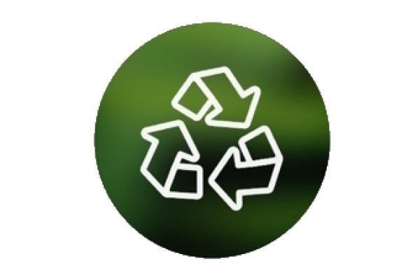 Prepare Your Business for 2025’s New Recycling Waste Legislation